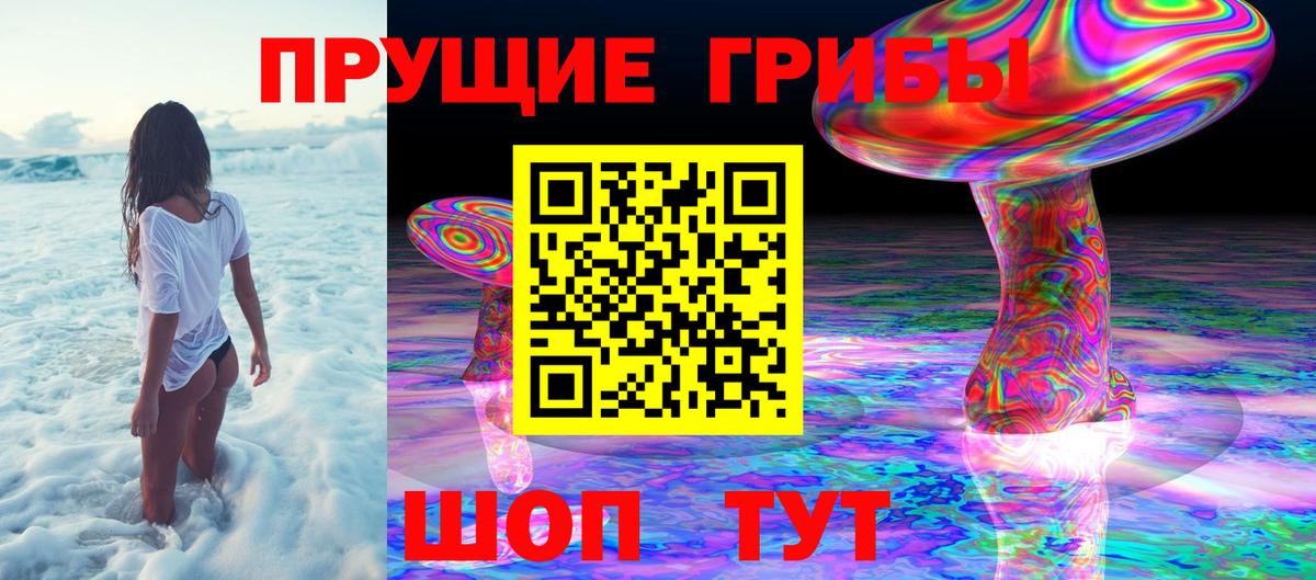 Псилоцибиновые грибы прущие грибы  Псилоцибиновые грибы GOLDEN TEACHER  как найти   Шали  Вход с VPN 