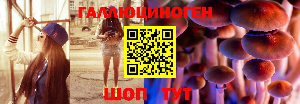 Псилоцибиновые грибы прущие грибы Шали